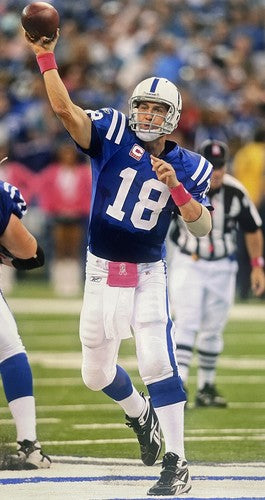 Peyton Manning 16x20 Chrome Photo Indianapolis Colts Photo File NFL HoF