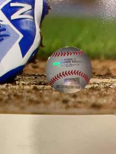 Amed Rosario New York Mets shortstop citi field 16x20 photo photofile hologram