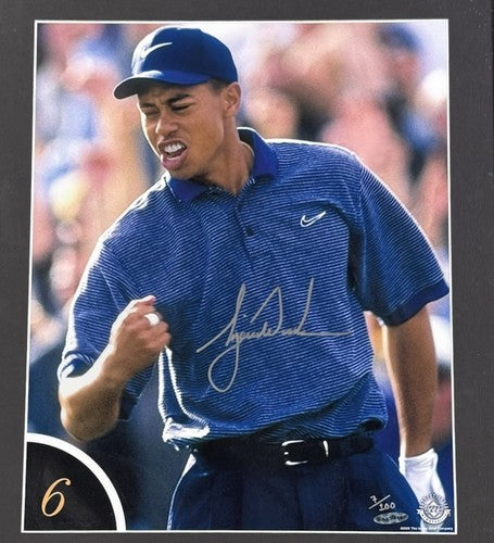 Tiger Woods Signed 12x16 Framed Golf Photo Ace In Arizona Mint Auto 7/10 UDA COA