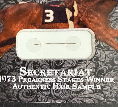 Secretariat SP 2020 Historical Dna Hair Strand 1973 Preakness Triple Crown /248