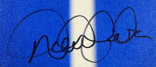 Derek Jeter Yankees Signed 16x20 Canvas Photo Stretched Jump Throw Auto MLB COA