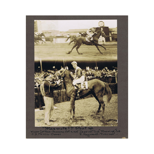 CC Cook NY Sepia Horse Racing Vintage Original Photograph Jamaica