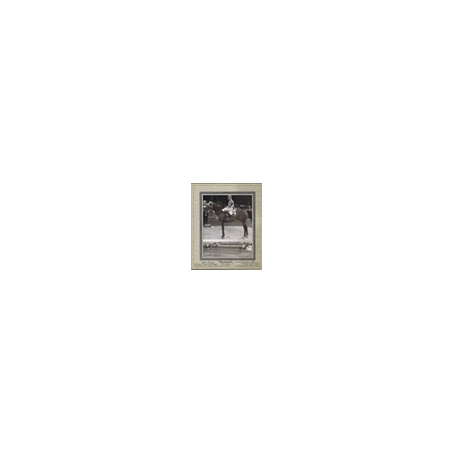 CC Cook NY Sepia Horse Racing Vintage Original Photograph Bulwark