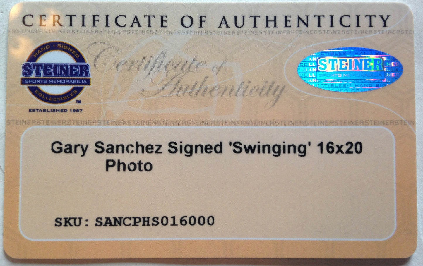 Gary Sanchez signed 16x20 photo framed Yankees coin Rookie auto Steiner COA HOT