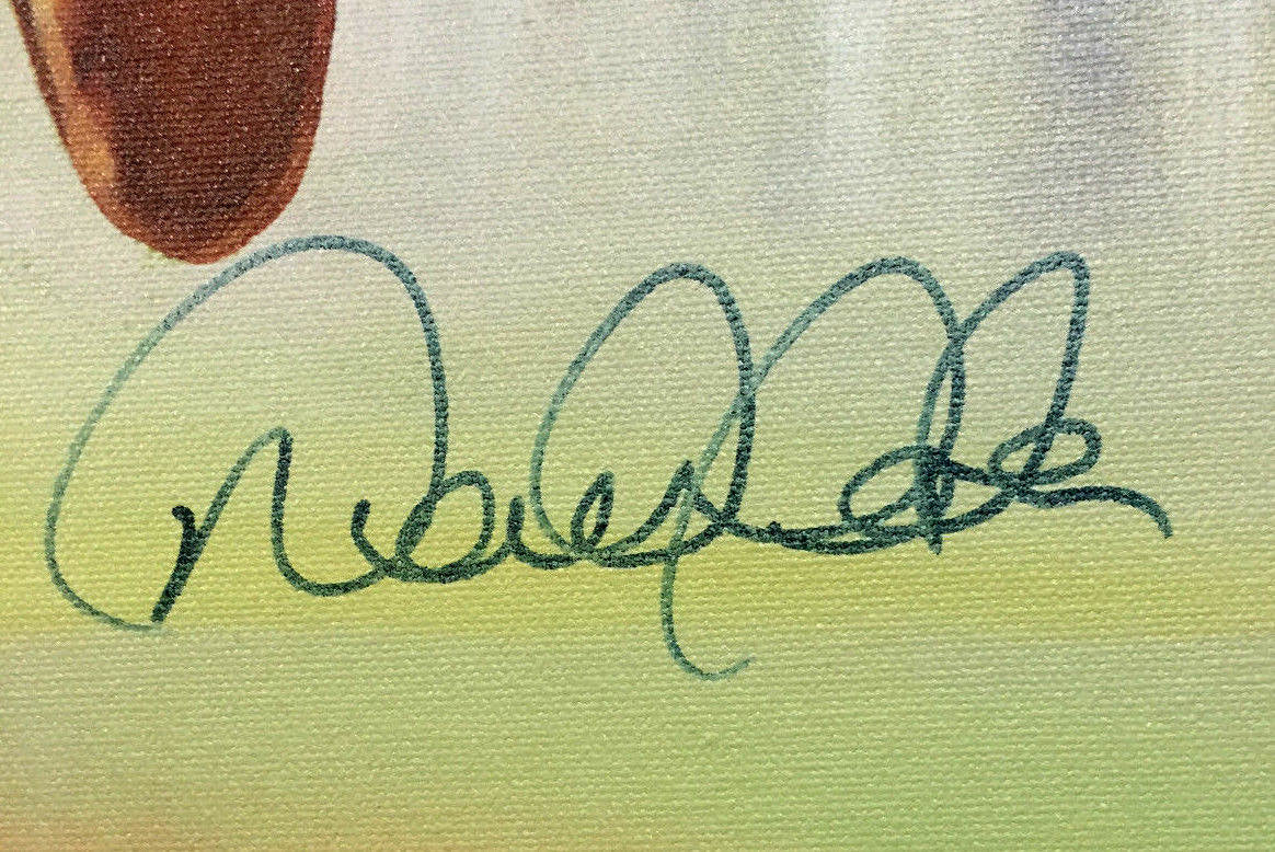 Derek Jeter signed american Flag framed Canvas aac holo coa le /25 autograph