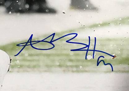 Antonio Brown signed 16x20 snow photo framed Steelers coin autograph JSA COA