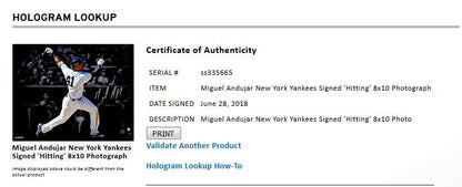 Miguel Andujar signed 8x10 spotlight photo Yankees rookie auto Steiner COA ROY ?