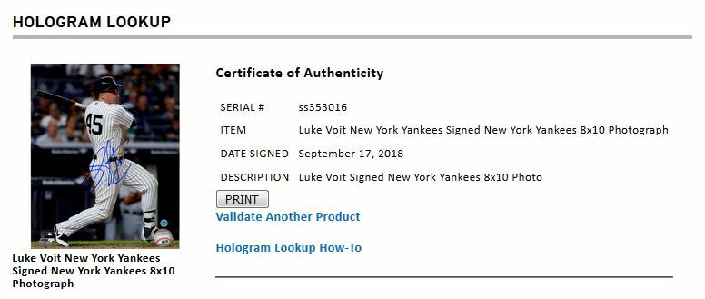 Luke Voit signed 8x10 photo framed Yankees coin Rookie Steiner COA