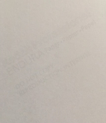 2015 USA WOMENS SOCCER TEAM WORLD CUP CELEBRATION 8x10 PHOTO Alex MORGAN LLOYD