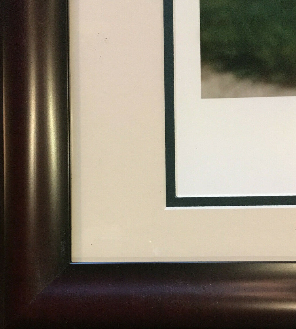 Jack Nicklaus signed Walk of Fame litho framed auto Golden Bear Holo COA /100