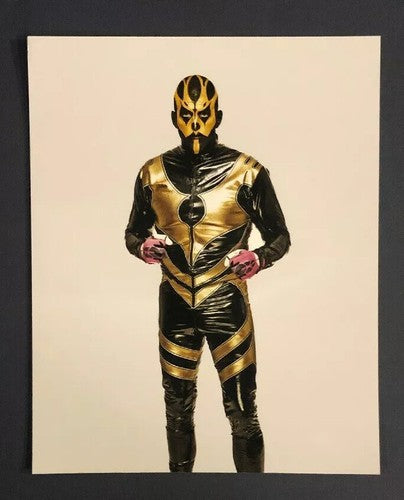 Goldust WWE 8x10 Wrestling Photo PhotoFile Mint Licensed Holo Wrestler