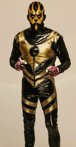 Goldust WWE 8x10 Wrestling Photo PhotoFile Mint Licensed Holo Wrestler