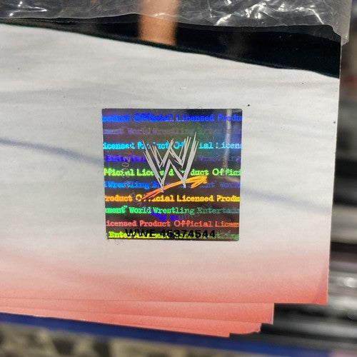 Edge 8x10 Photo Wwe PhotoFile Licensed Holo Wrestling Mint Action Photograph