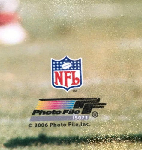 JERRY RICE SAN FRANCISCO 49ERS ACTION  UNSIGNED 8X10 PHOTO Holo Licensed