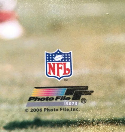 JERRY RICE SAN FRANCISCO 49ERS ACTION  UNSIGNED 8X10 PHOTO Holo Licensed
