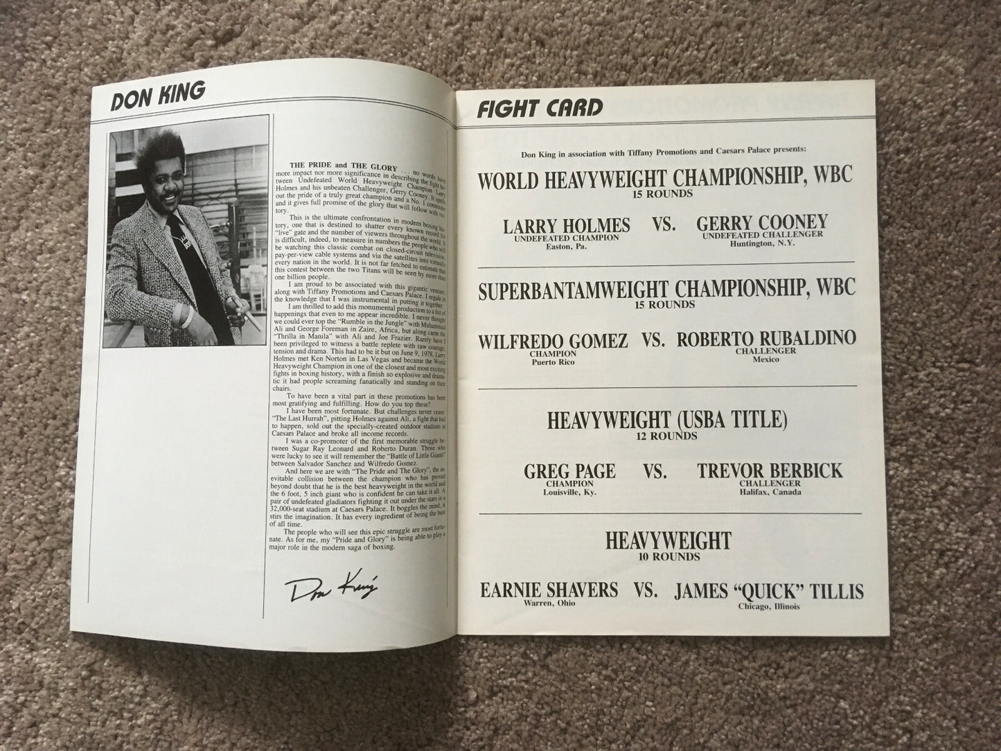 Larry Holmes Gerry Cooney 1982 Heavyweight Championship Program + Ticket Stub