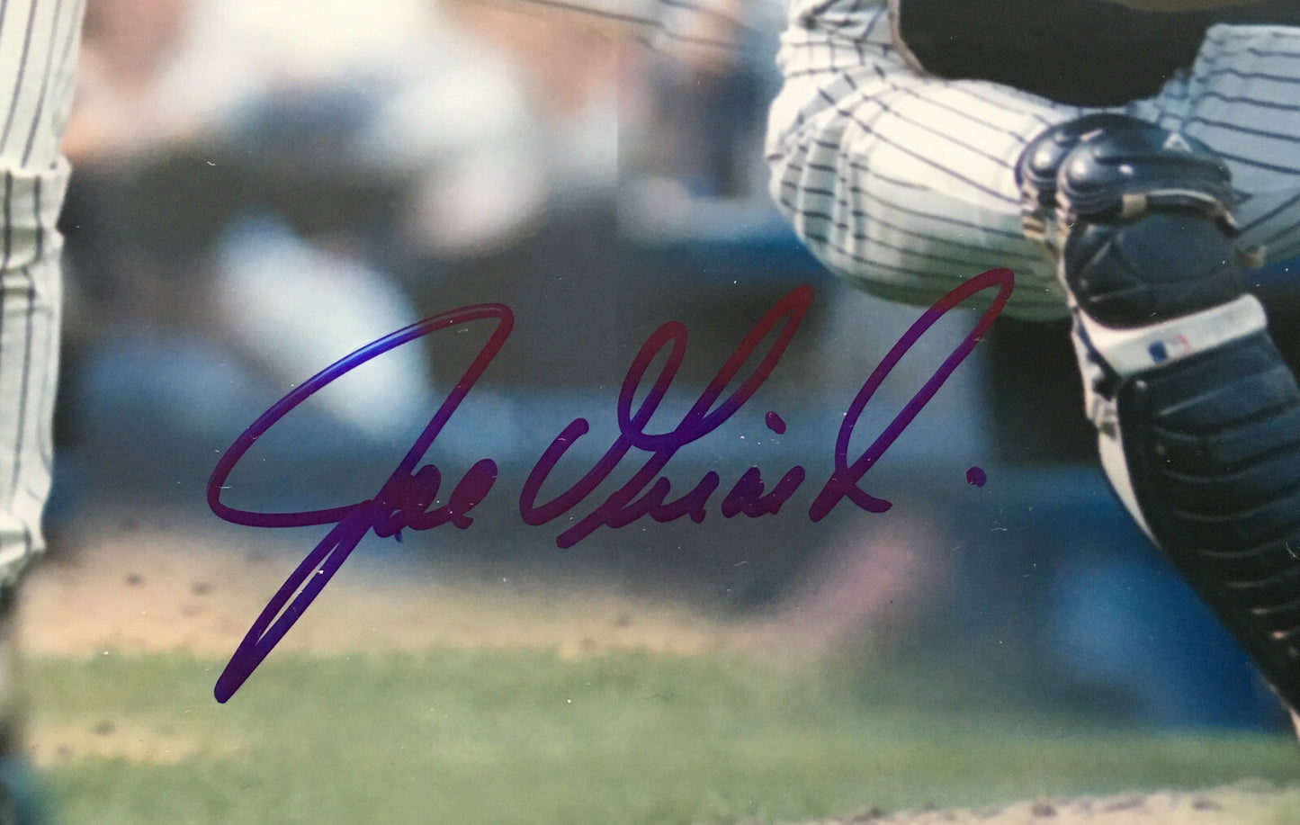 Yankees Perfect game Signed 16x20 Photo 6 Auto Don Larsen Berra framed holo COA