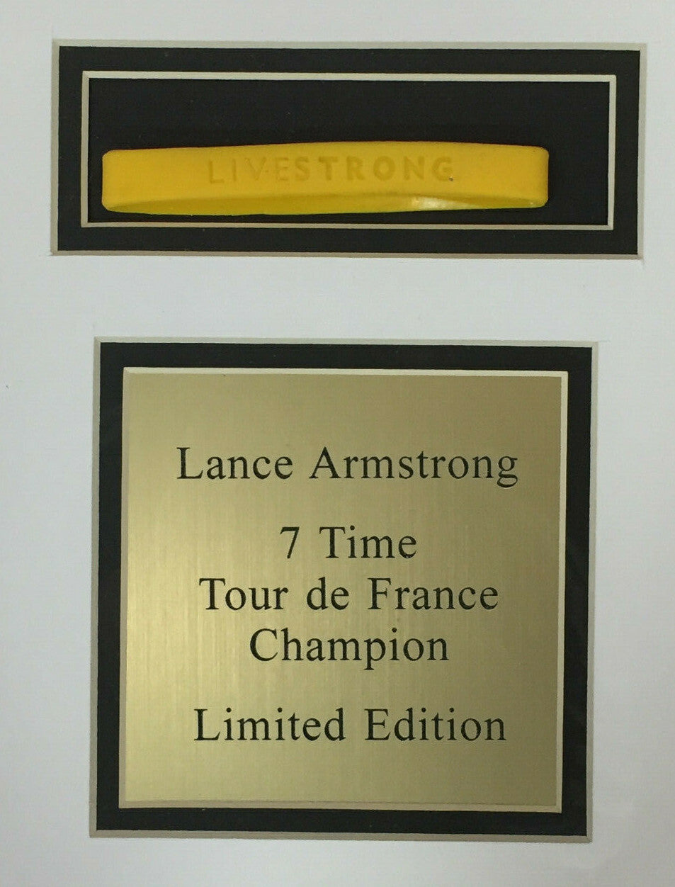 Lance Armstrong Signed 2003 MS69 AMERICAN Silver Eagle Coin framed photo  COA