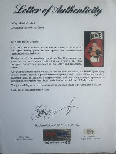 Muhammad Ali Signed Wayne Prokopiak hand Painted Boxing Glove Mint 1/1 Psa Loa