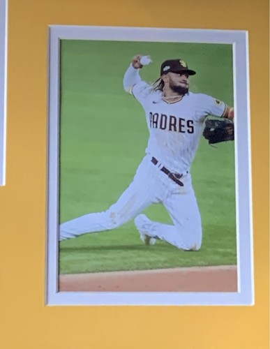 Fernando Tatis Jr. Signed Nike Padres Jersey INS El Nino Auto Framed JSA COA