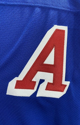 Jaromir Jagr New York Rangers Signed Authentic CCM NHL Jersey Autograph Steiner
