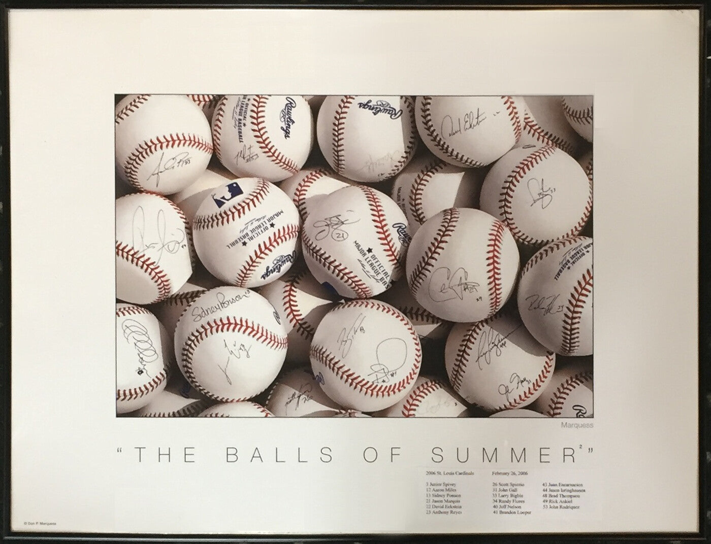 2006 Cardinals World Series Champs Signed Photo framed 17 Auto Isringhausen COA