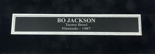 Bo Jackson Signed Tecmo Bowl Nintendo 16x20 Framed Photo w/ Controller Steiner
