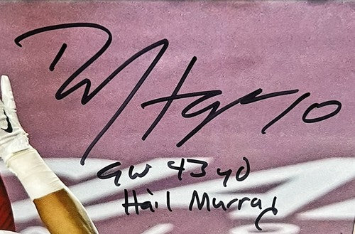 DeAndre Hopkins Signed 16x20 Photo Framed Hail Murray Catch Auto Fanatics LE