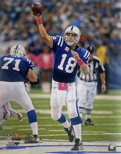 Peyton Manning 16x20 Chrome Photo Indianapolis Colts Photo File NFL HoF