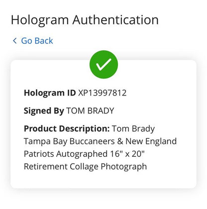 Tom Brady Signed 16x20 Framed Photo Patriots Buccaneers SB MVP Auto Fanatics COA