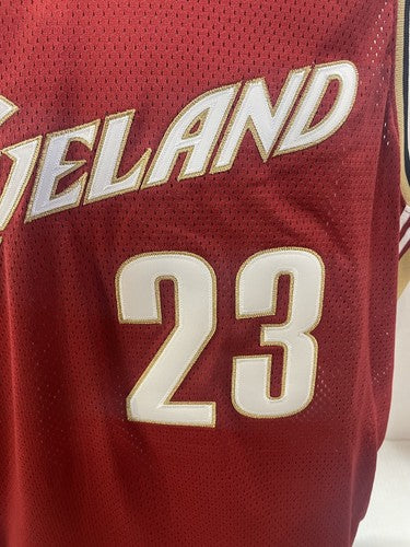 LeBron James Signed Cavaliers Reebok Authentic ROTY Jersey Mint Auto /123 UDA