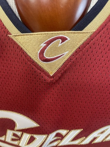 LeBron James Signed Cavaliers Reebok Authentic ROTY Jersey Mint Auto /123 UDA