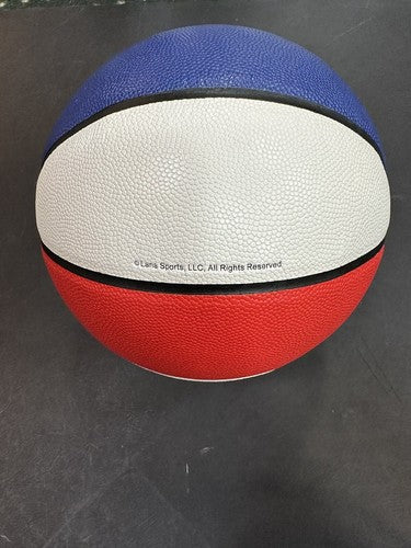 Julius Erving Dr J Nets signed ABA Official basketball 3x MVP 2x Champ Auto Bas