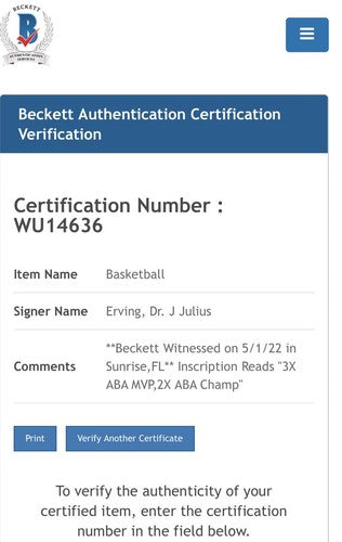 Julius Erving Dr J Nets signed ABA Official basketball 3x MVP 2x Champ Auto Bas