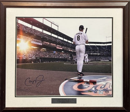 Cal Ripken Jr Signed 16x20 Framed Photo Le/8 Orioles Autograph Steiner MLB COA
