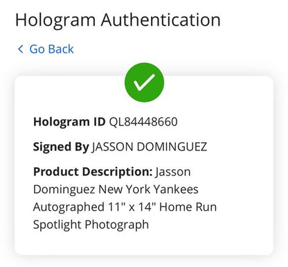 Jasson Dominguez Signed 11x14 Framed Photo 1st Home Run HR Yankees Auto Fanatics