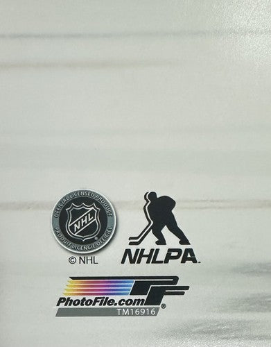 Chris Kreider Brock Nelson 16x20 Photo NY Islanders Rangers PhotoFile NHL