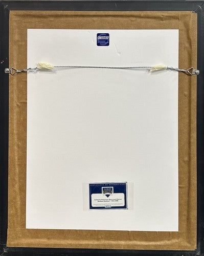 Babe Ruth Yankee Stadium Monument Park Brick Retired #3 Framed Collage Steiner