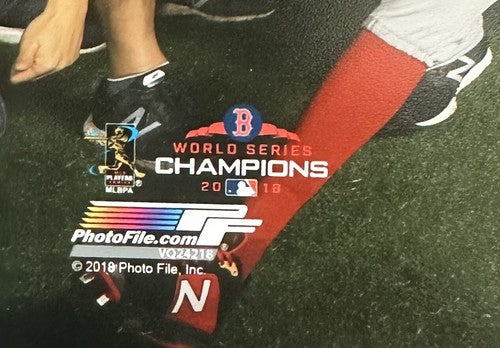 Boston Red Sox 2018 World Series Champions 8x10 Celebration Photo Photofile MLB