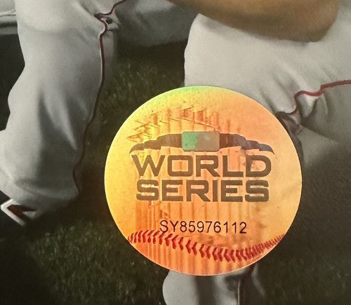 Boston Red Sox 2018 World Series Champions 8x10 Celebration Photo Photofile MLB