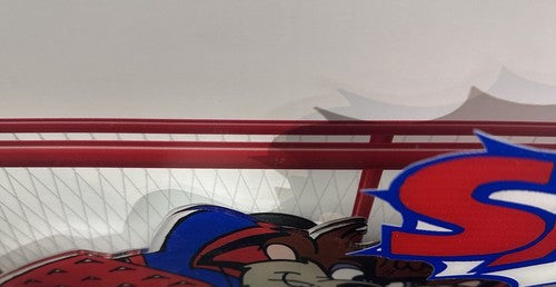 Taz Tasmanian Devil Looney Tunes NY Rangers Framed 3D Pucks & Stick Photo Art