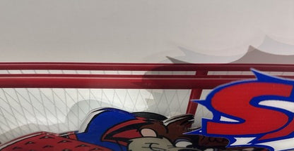 Taz Tasmanian Devil Looney Tunes NY Rangers Framed 3D Pucks & Stick Photo Art