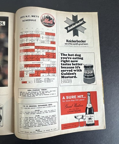 1973 NEW YORK METS vs CINCINNATI REDS NL PLAYOFF PROGRAM UNSCORED Rare