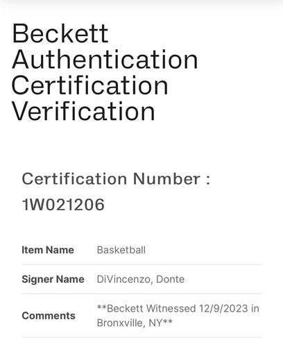 Donte Divincenzo Signed NBA Wilson I/O Basketball Ny Knicks Autograph BAS COA