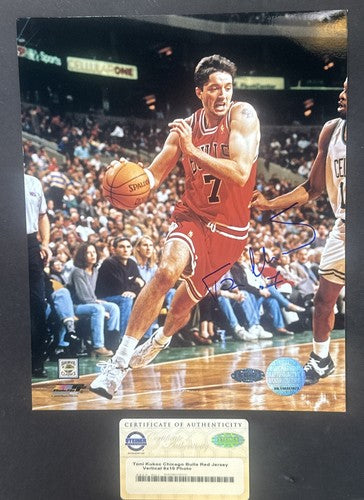 Toni Kukoc Chicago Bulls Signed 8x10 Photo # 7 Auto Steiner Coa World Champion