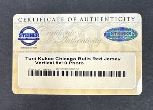 Toni Kukoc Chicago Bulls Signed 8x10 Photo # 7 Auto Steiner Coa World Champion
