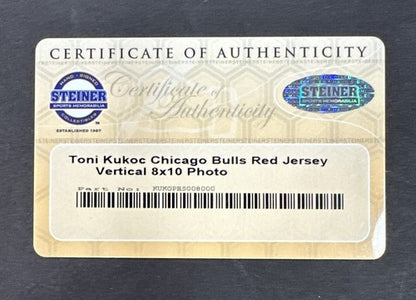 Toni Kukoc Chicago Bulls Signed 8x10 Photo # 7 Auto Steiner Coa World Champion