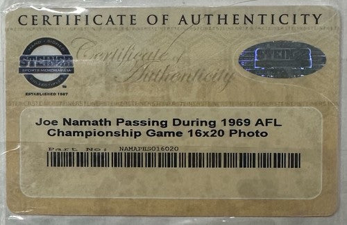 Joe Namath Signed 16x20 Framed 1969 AFL Championship Photo Ny Jets Auto Steiner
