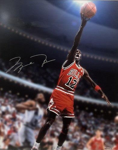 Michael Jordan Signed 16x20 Framed #12 Photo Bulls LE /112 Autograph UDA COA HOF