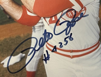Pete Rose Signed 8x10 Framed Photo Suede Reds #4256 Auto w Stat Sheet PSA COA